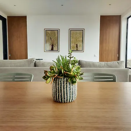 Tabaiba En Con Piscina *